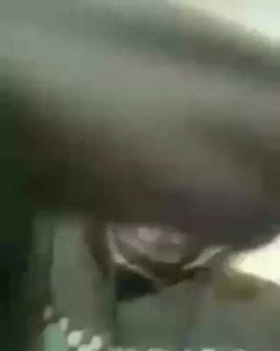 This is related to apandah because uhhhhh