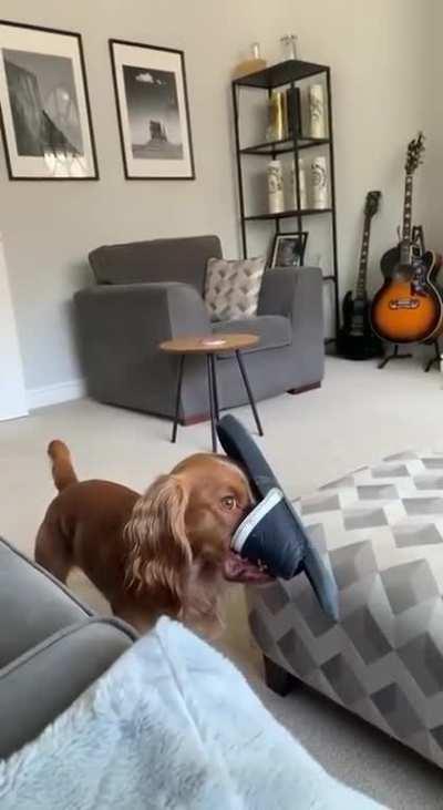 When I remembered that you are not alone at home