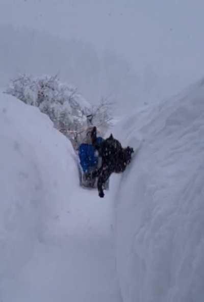 Grüße aus dem Allgäu!