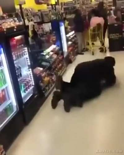 Street Thug Claims to Be the 