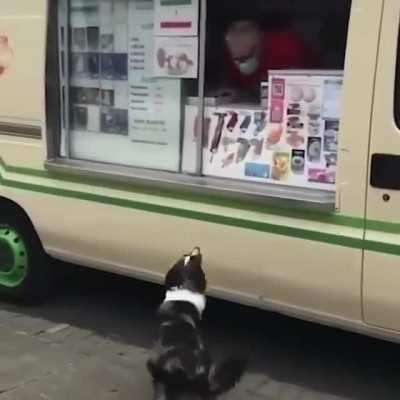 Пёс ждёт друга мороженщика