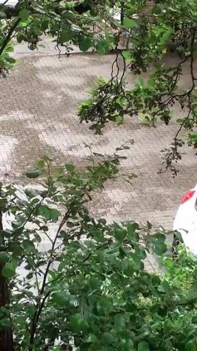 After a very humid hot day, this is my reward. It smells so good aswel