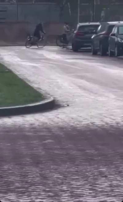 Why help when it makes you laugh