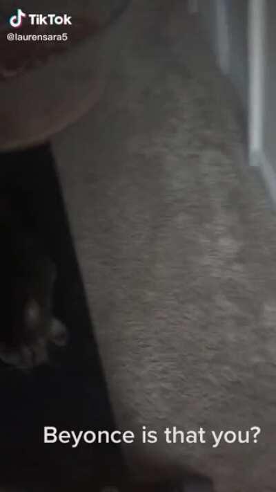 Say “yeaaaahhhh”