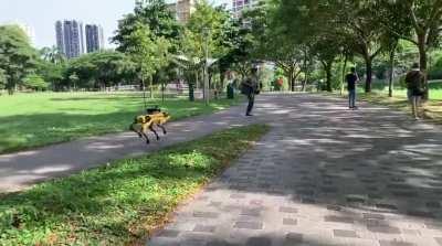 Singapore deploys Boston Dynamics Spot robot in public park to encourage social distancing