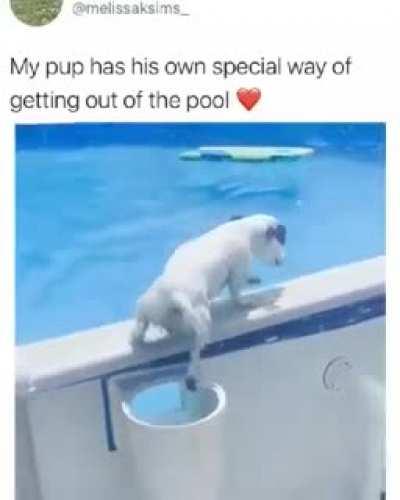 This is too Cute 🥰