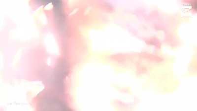 Brave diver fends off great white shark