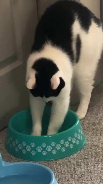 If you dig enough, food might suddenly appear