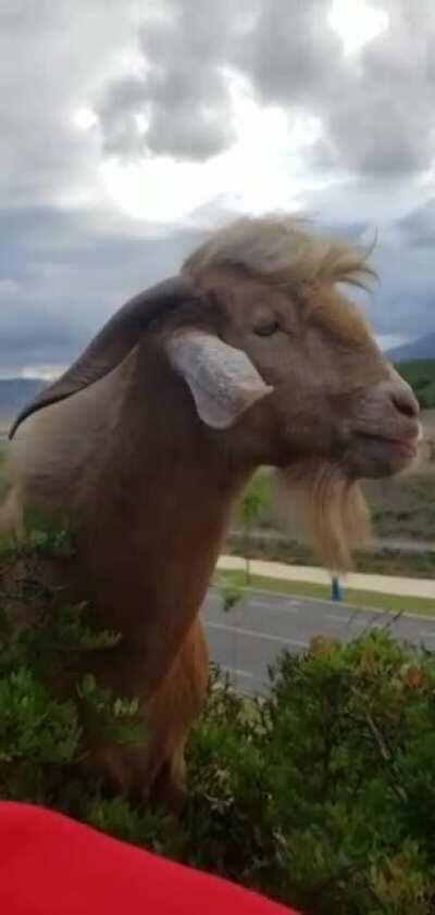 Espero que alegre o dia de alguns de vocês :)