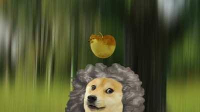 le ampple has arrived