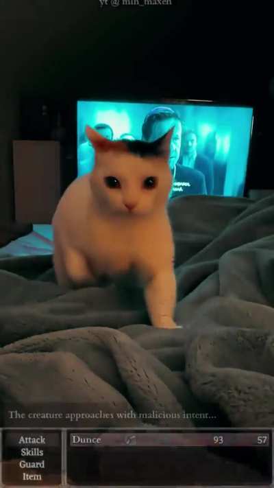 a wild wunk approaches