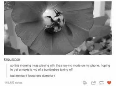 I find this Un-bee-lievable