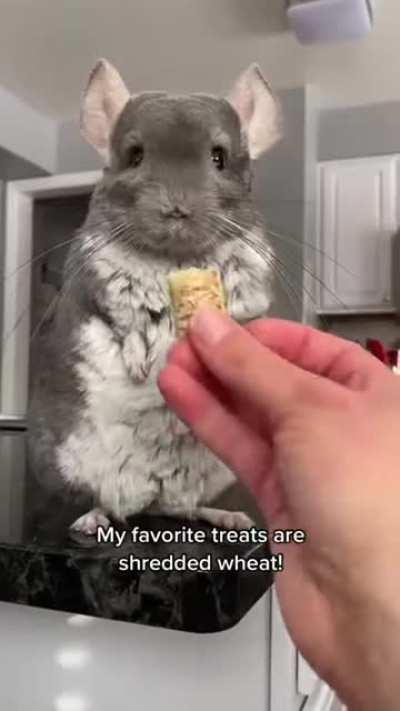 Why are you so cute????