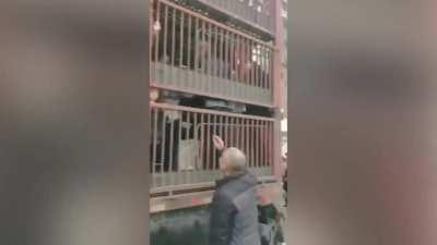 People being moved inside a cattle truck