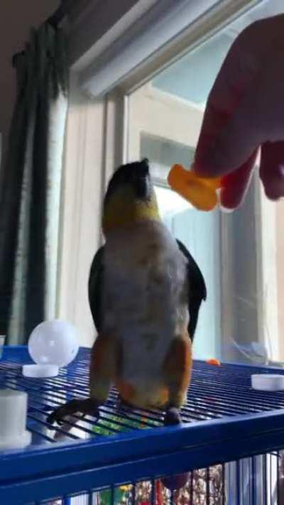 my ferocious chicken nugget