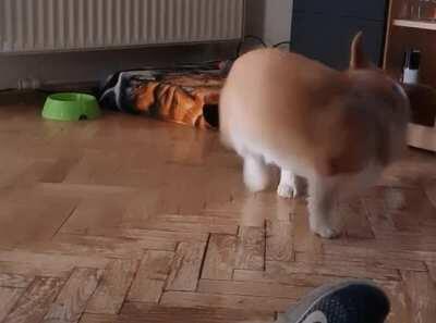 Finally achieved his dream