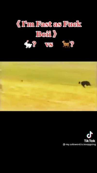 My fav tiktok, Dude sounded like F1 commentator