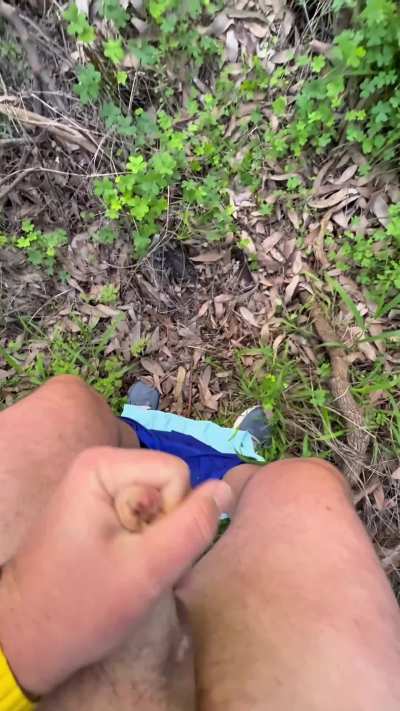 got dared to cum during my run last week, spoiler alert: successful