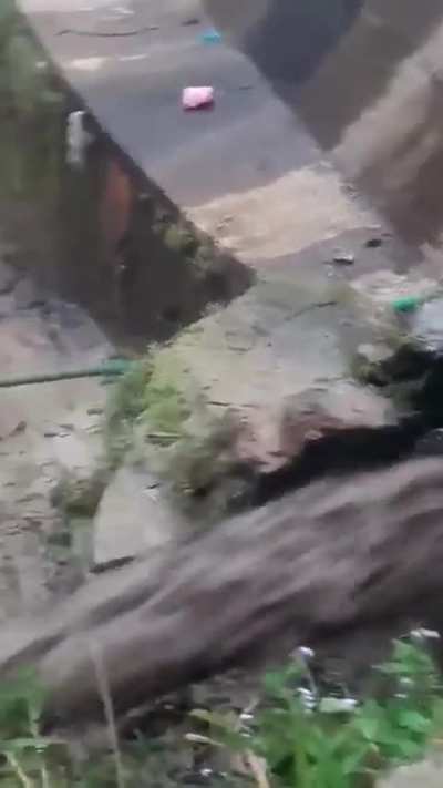 Dam spillway being unclogged