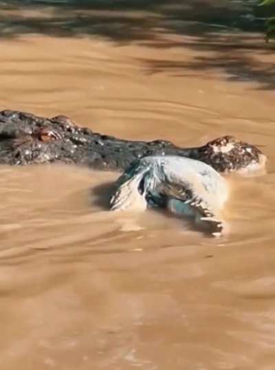 There's always a bigger one