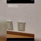 Another small world :)