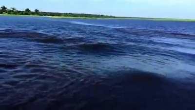 I didnt know they were that fast