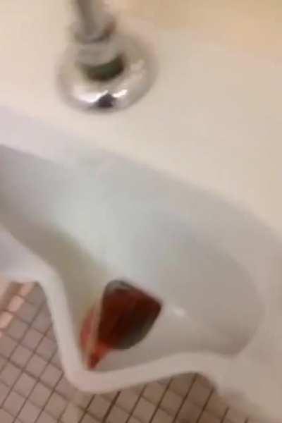 smh this is what happens when you leave the seat down 🤦‍♀️