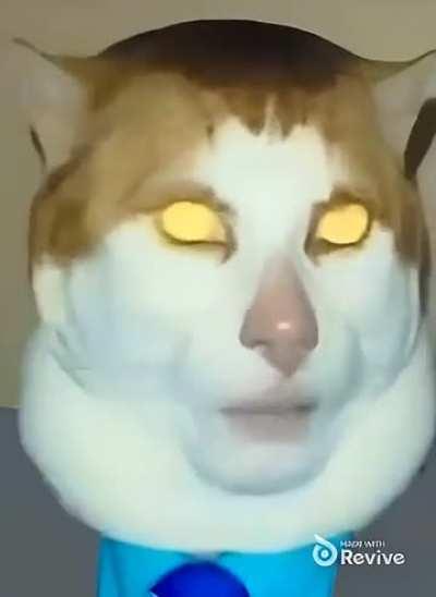 Monday left me broken 