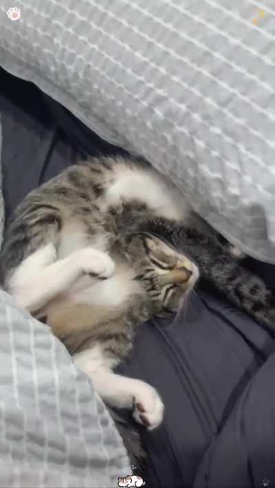 What position is this called?