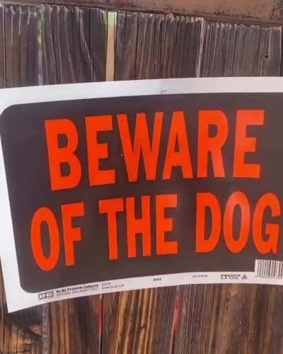 Beware of The Dog!