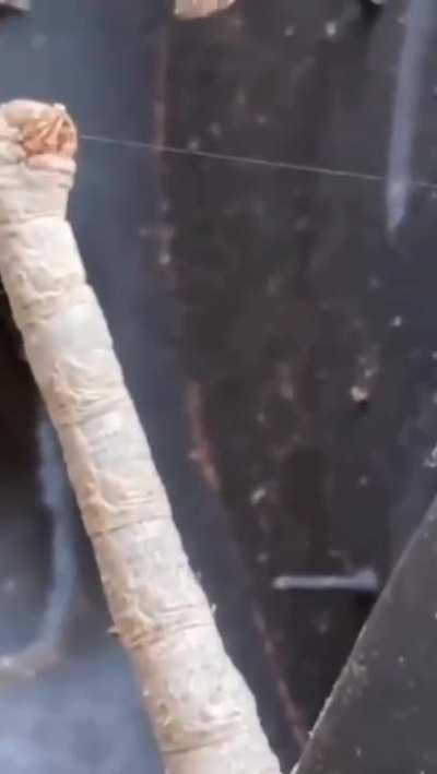 Please tell me that is not real /s