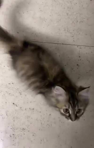 I barely survived this vicious attack with major injuries and PTSD