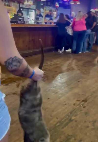 I wonder how often this happens.