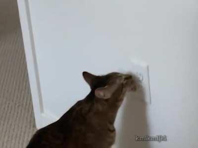 tIRED oF all THe BuLLshit, KAt ENds IT Once AND FOr ALL!