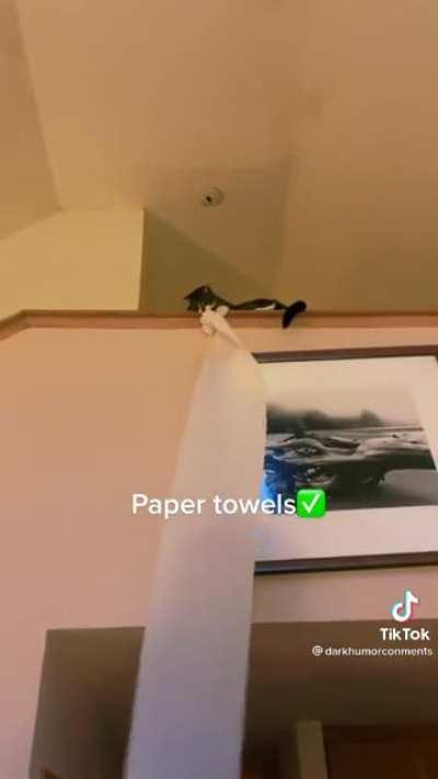 While I catch everything sent my way..