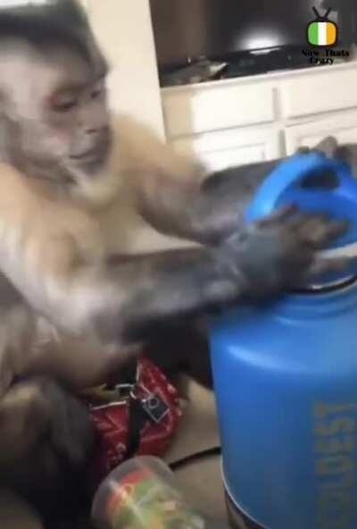 😍UNBOXING PERUANO😍 - UPVOTE PARA QUE ORSLOK PIERDA TODO SU DINERO😂😂😂😂