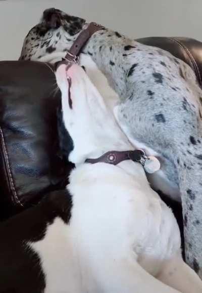 This sub in a nutshell