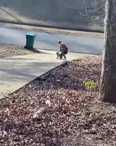 Favourite part of his day when the school bus arrives