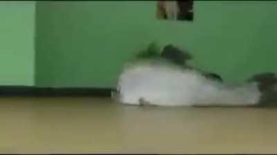 no fucking way he fucking he