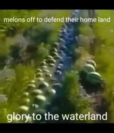 For the waterland!