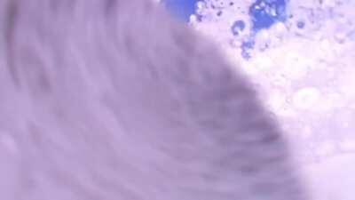 Kai Lenny na Nazaré, Novembro 2020