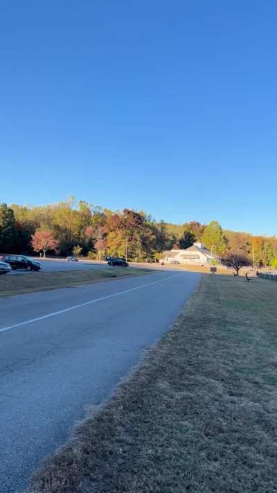 How would you rate my Drz?