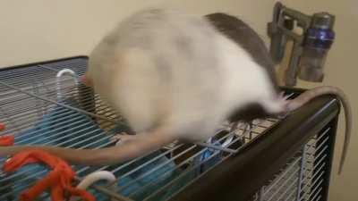 It's confirmed, our boy Max is a psycho...