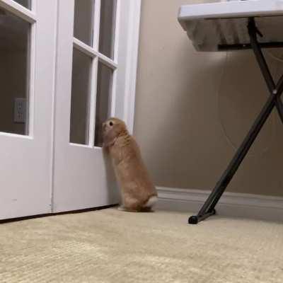 It’s a big world out there! 👀