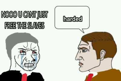 this is how the slave revolt started