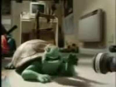 Tortuga cantando arabe 😎