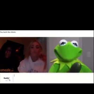 Kermit on Omegle 