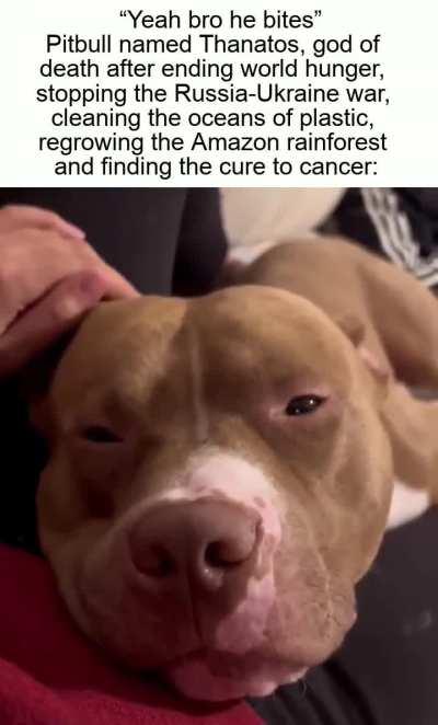 I say, what mundane action is that canine performing?