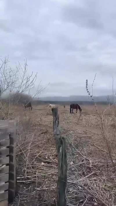Misteriosa explosión en las sierras cordobesas