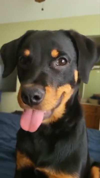 Привет, Рекабу!